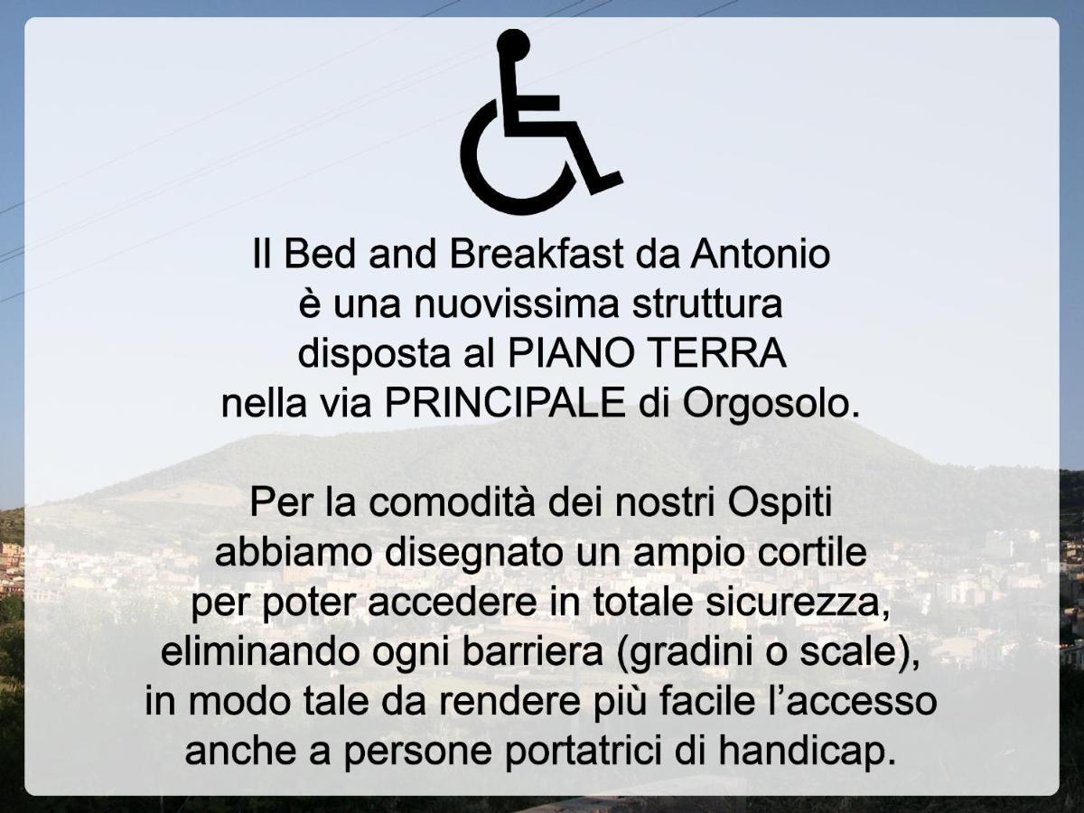 Bed And Breakfast Da Antonio - ออร์โกโซโล ภายนอก รูปภาพ
