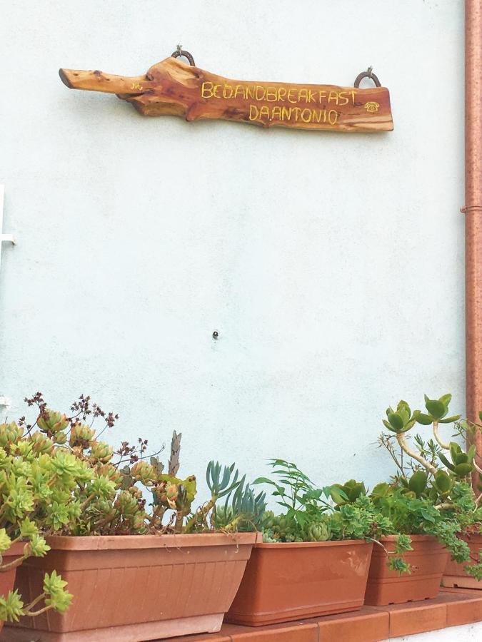 Bed And Breakfast Da Antonio - ออร์โกโซโล ภายนอก รูปภาพ